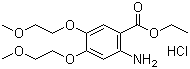 Erlotinib